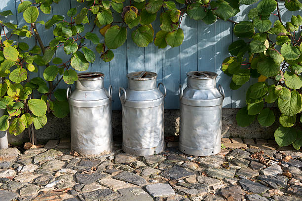 three churns on a farm three churns for milk with plants and wood as background butter churn stock pictures, royalty-free photos & images