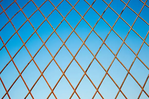 wire netting and blue sky.