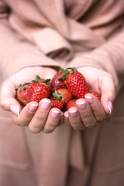 manciata di maturo fragole in mani - passion women human hand macro foto e immagini stock