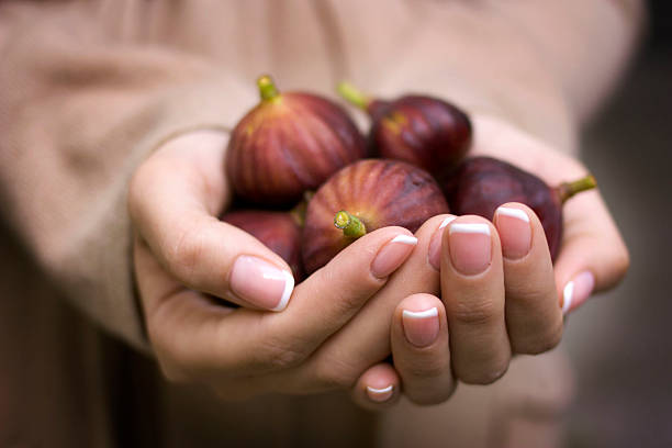 manciata di maturi fichi nelle mani di - passion women human hand macro foto e immagini stock