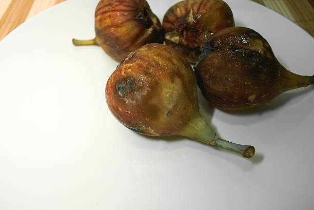 Over Ripped Figs 210+ Rotten Fig Stock Photos, Pictures & Royalty-Free Images - iStock