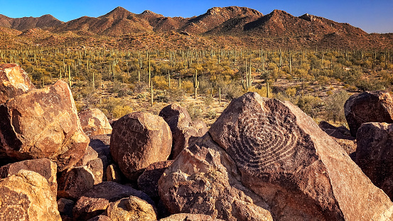 Hohokam petroglyphs are etched into rocks on the top of Signal Hill in Saguaro National Park