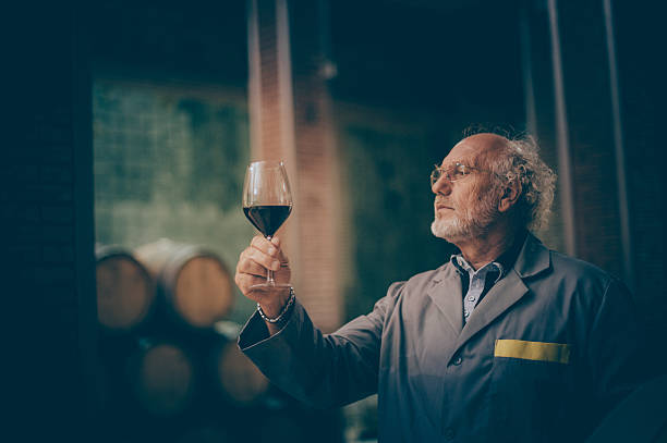 hombre mayor con barba sostiene una copa de vino tinto - winemaking vintner winery people fotografías e imágenes de stock