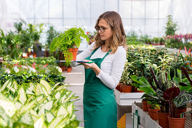 istock Taking care of plants 517869450