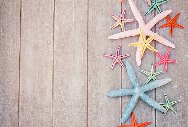 istock starfish on wooden board 517871934