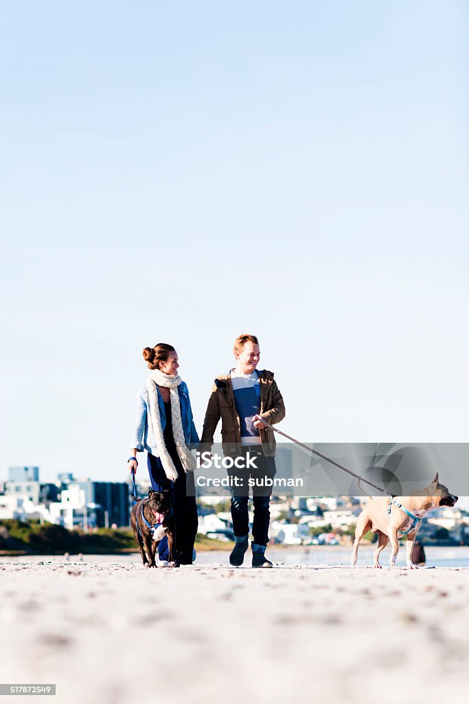 I See Something Interesting Happy couple taking a leisurely stroll on the beach with their dogs. Affectionate Stock Photo