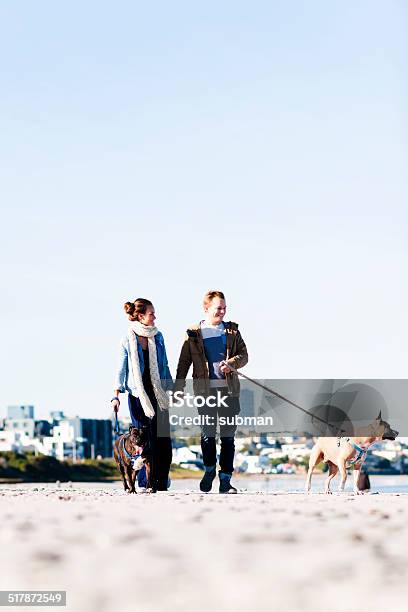 I See Something Interesting Stock Photo - Download Image Now - Affectionate, Animal, Beach