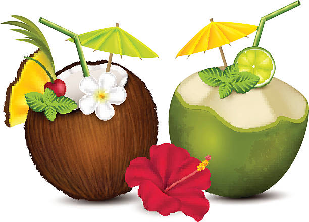 개의 열대 칵테일 - coconut drink cocktail umbrella stock illustrations