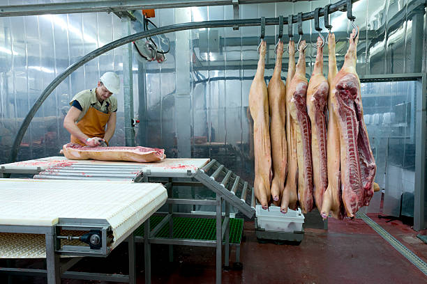 metzger schneiden fleisch auf den food processing plant - slaughterhouse stock-fotos und bilder