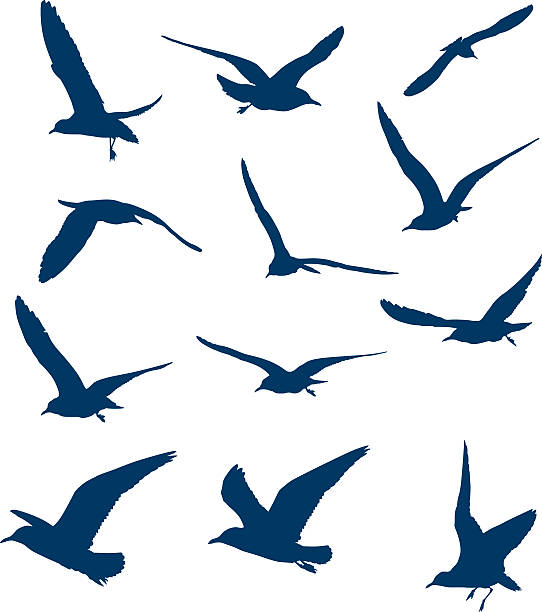 비행 seagulls 형태 - 갈매기 stock illustrations