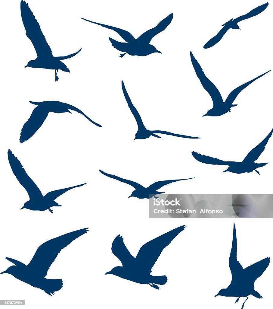 Shapes of flying seagulls Shapes of flying seagulls isolated on white Seagull stock vector