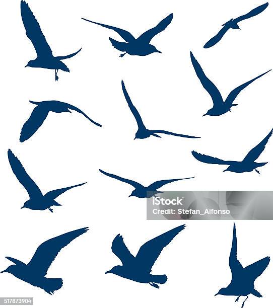 Shapes Of Flying Seagulls Stock Illustration - Download Image Now - Seagull, Vector, Flying