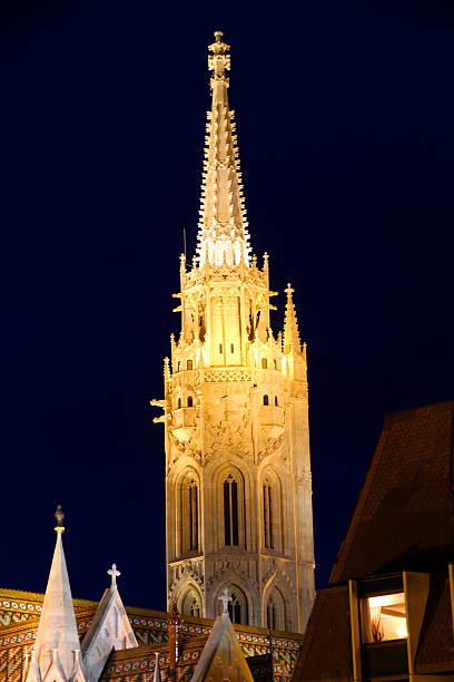 istock Spike of Gold 517873936