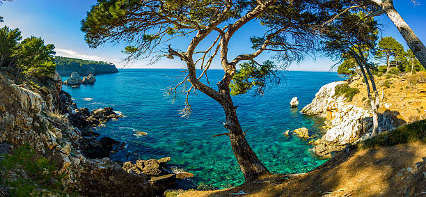 Panoramic view from Cala Deia  breathtaking mediterranean tropic empty beach 30 km from Palma de Mallorca