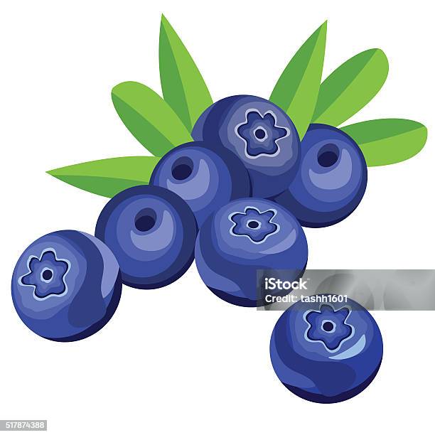 Blueberry Berries And Leaves Stock Illustration - Download Image Now - Blueberry, Illustration, Antioxidant