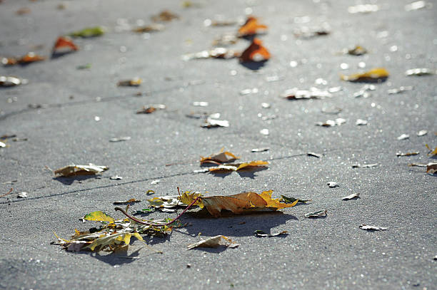 istock Autumn leaves on the pavement 517874915