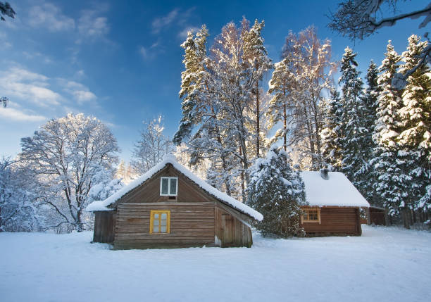 istock Old houses in snowy forest 517875453