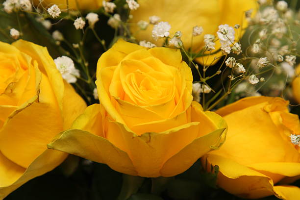 istock bouquet of beautiful yellow roses 517875820
