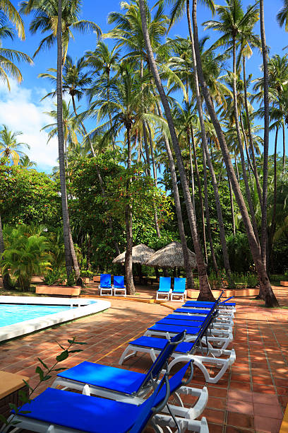 istock deck chairs under near swimming pool 517876091