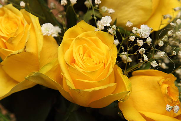 istock bouquet of beautiful yellow roses 517876096