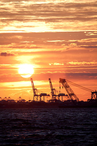 istock Sunset view from Louis Valentino Junior Park 517876807