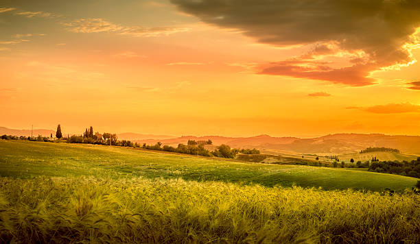 istock Amazing sunset in Tuscany 517876938