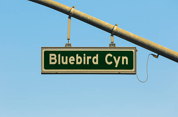 istock Bluebird Canyon sign 517892162