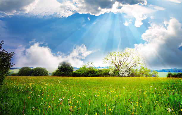 istock Summer landscape with green grass and clouds. 517892264
