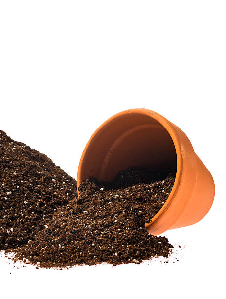 istock Small clay pot spilling potting mix on white background 517893354
