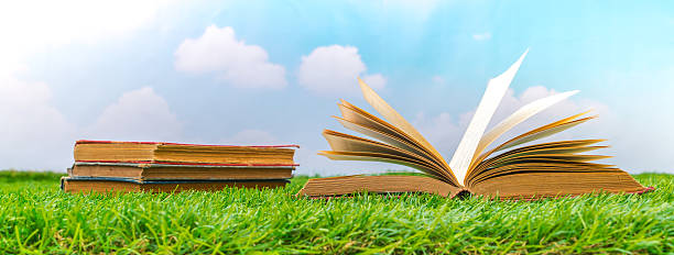 istock Blank catalog, magazines,book mock up on  green grass 517894002