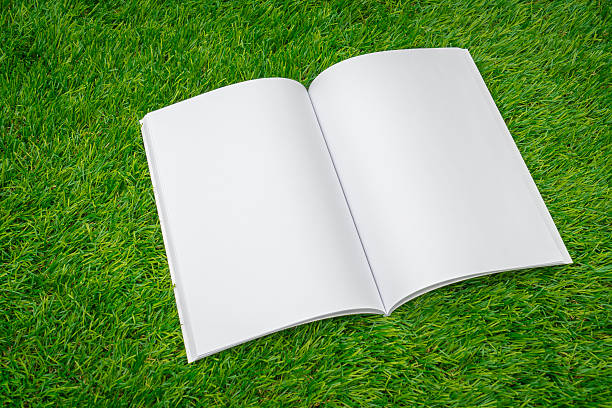 istock Blank catalog, magazines,book mock up on green grass 517894254