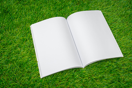 Blank catalog, magazines,book mock up on green grass