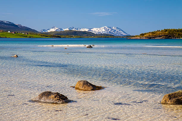 istock Paradise beach of Lofoten 517895079