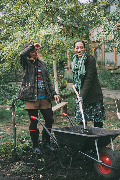 istock Friends working in the garden 517896029