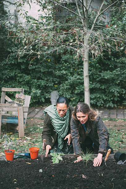 istock Friends working in the garden 517896031