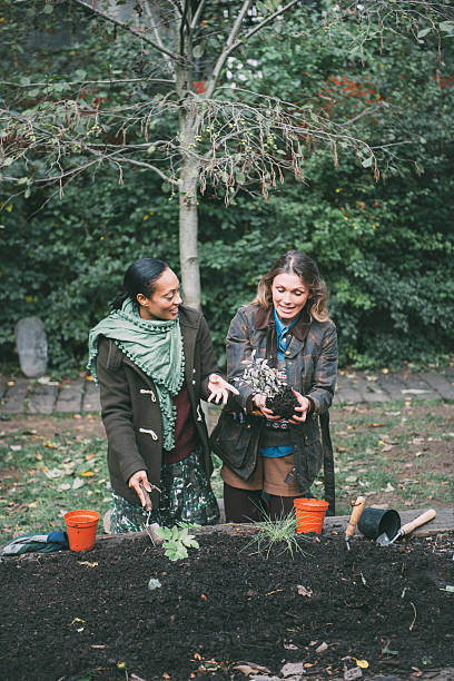 istock Friends working in the garden 517896033