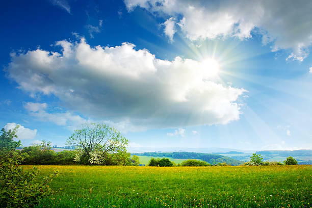 istock Summer landscape with sunshine and clouds. 517896154