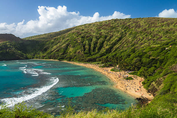 bahía de hanauma, hawai - hanauma bay fotografías e imágenes de stock