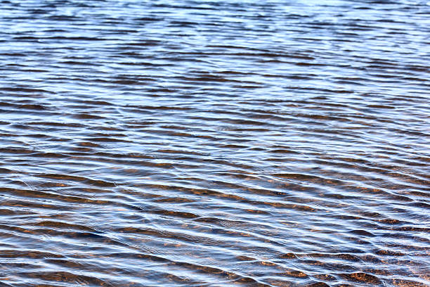 istock texture water with small waves of blue 517897737