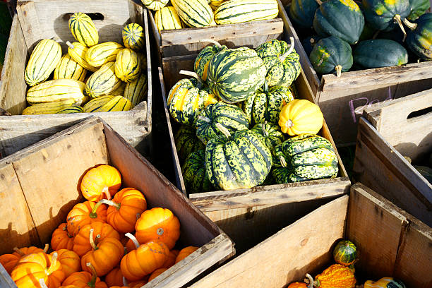 istock Pumpkins at Farmer's Market 517898143
