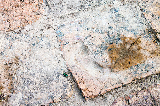 istock Thousands yars old child's foot imprint 517898311