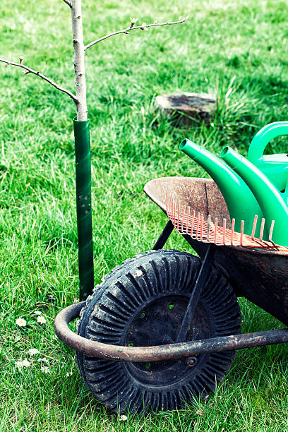 istock Barrow, Rake in front of Brick Wall with Grass 517898538