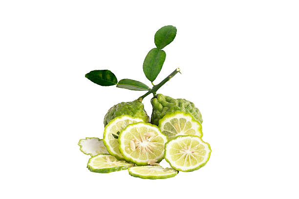 goldmelisse - lemon lime lyme regis vegetable stock-fotos und bilder