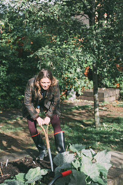 istock WOman working in the garden 517900077