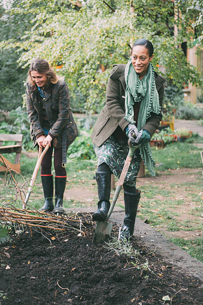 istock Friends working in the garden 517900083
