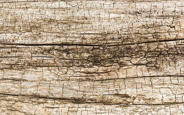 istock Wooden weathered wall 517900177