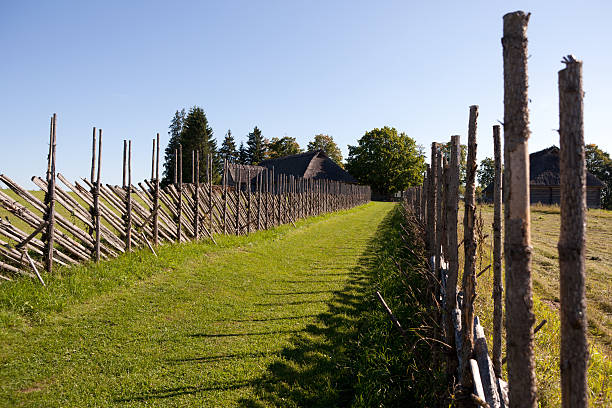 istock Old fence of twigs 517900323