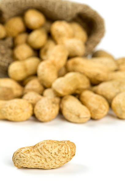 istock peanuts in a miniature burlap bag isolated on white 517900470
