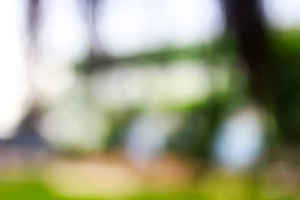 istock Bright colorful abstract background from plants, not in focus 517900547