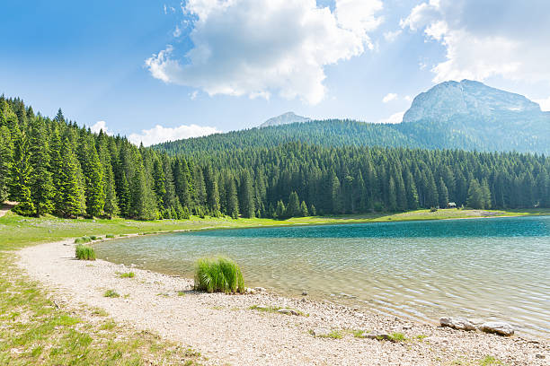 istock Panorama of lake in mountains 517901171